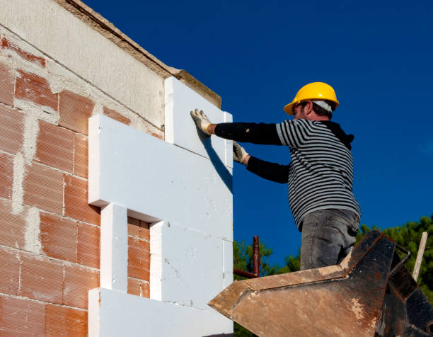 Best Insulation for New Construction  in Mokena, IL