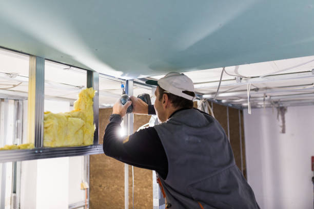 Best Insulation Contractors for Homes  in Mokena, IL