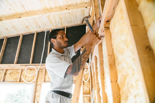 Best Local Insulation Services  in Mokena, IL