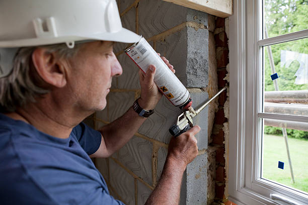 Best Affordable Insulation Services  in Mokena, IL