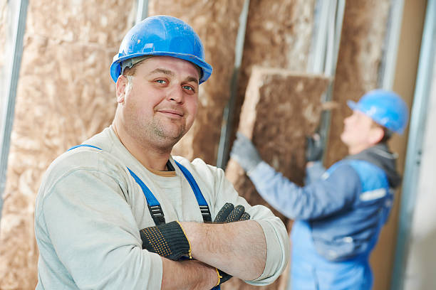 Best Garage Insulation Installation  in Mokena, IL